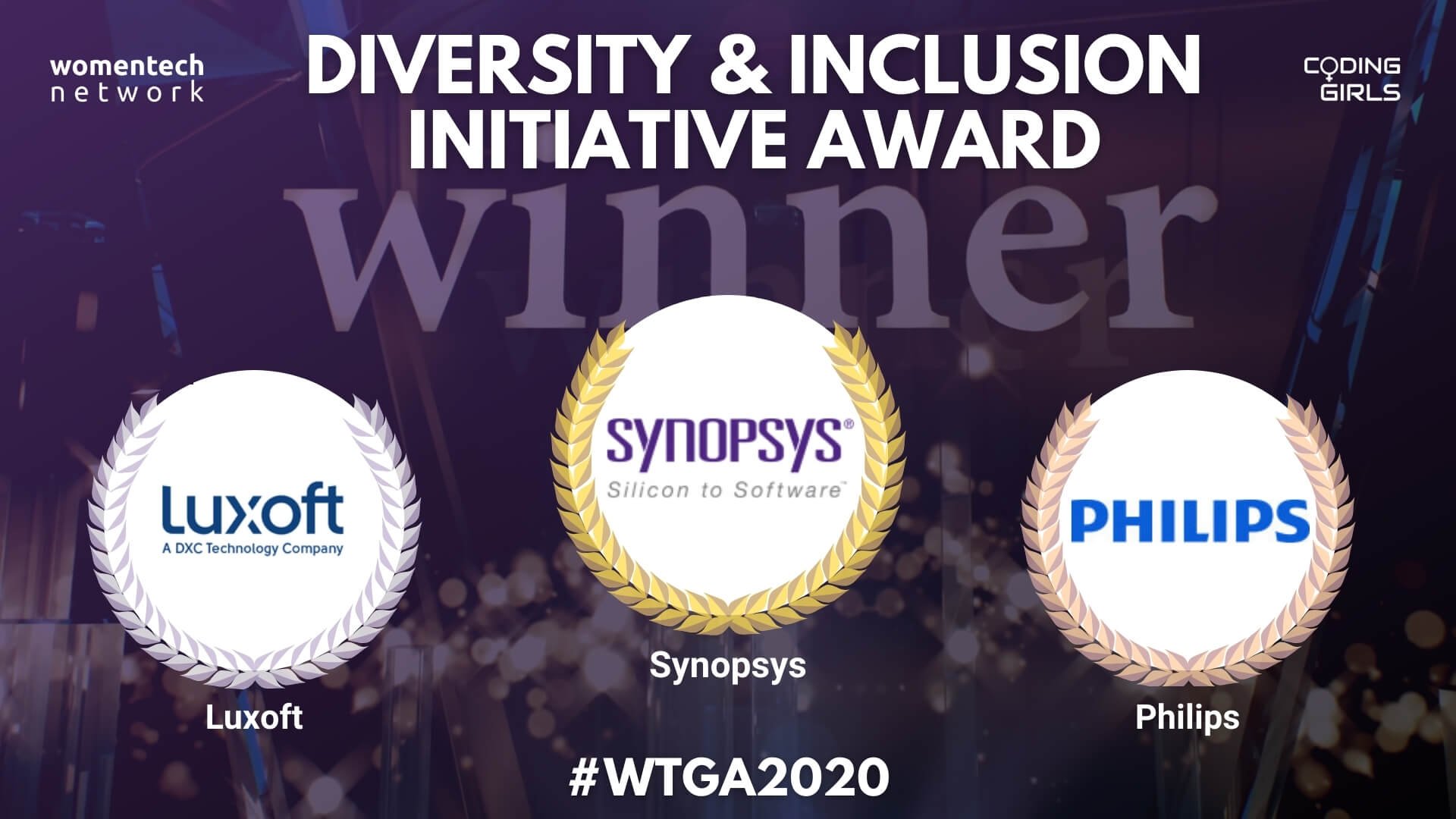 Diversity and Inclusion Initiative Award