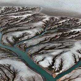 Placeholder Placeholder