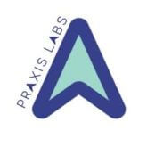 praxis logo.jpg