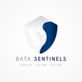 Data Sentinels logo.png