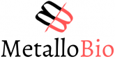 metallobio-2.png