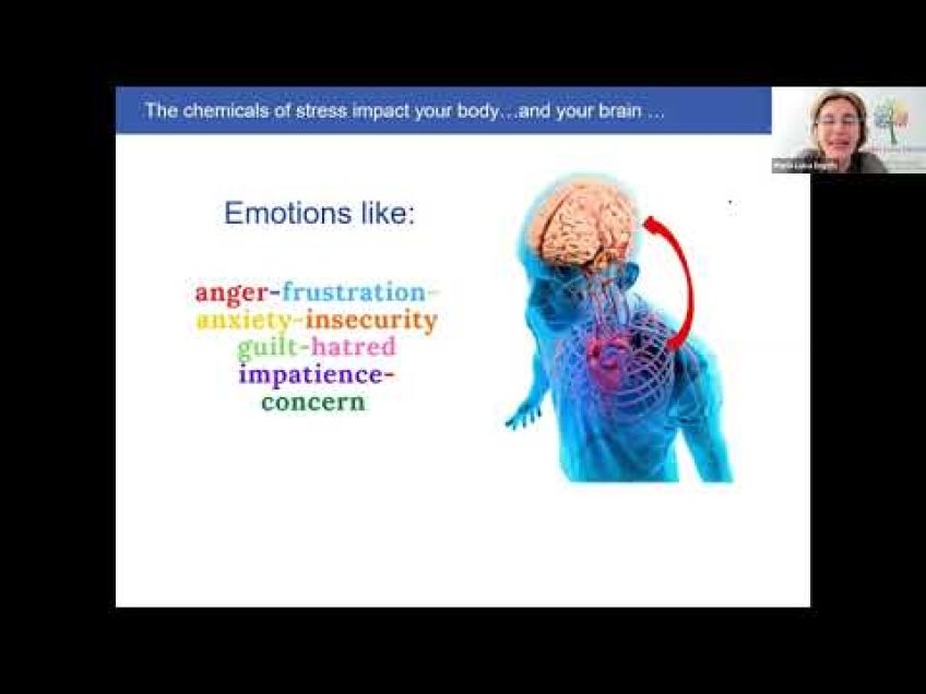 Embedded thumbnail for Maria Luisa Engels - Mindset matters: the neuroscience of change and transformation