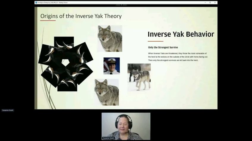 Embedded thumbnail for Why the Inverse Yak Theory is bad for business by Susanne South