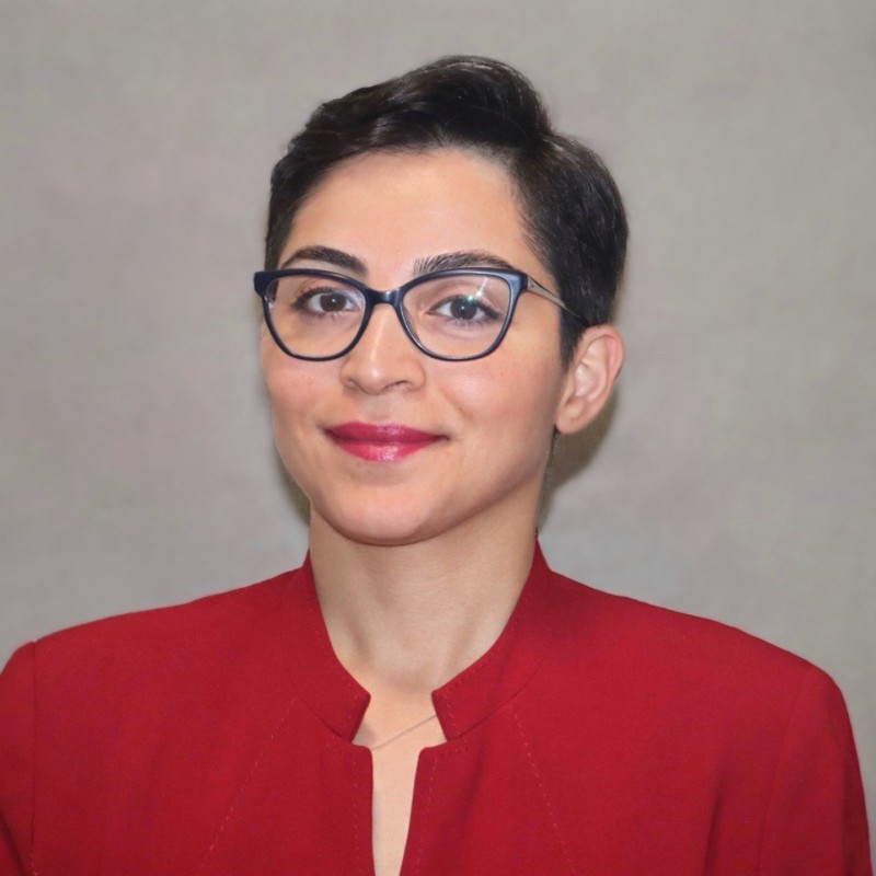 Mina Movahedi Shakib