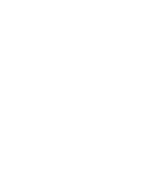 Solita